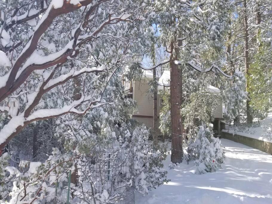 Casa De Los Arboles! Delight & Solitude Abound! Pine Cove Exteriér fotografie