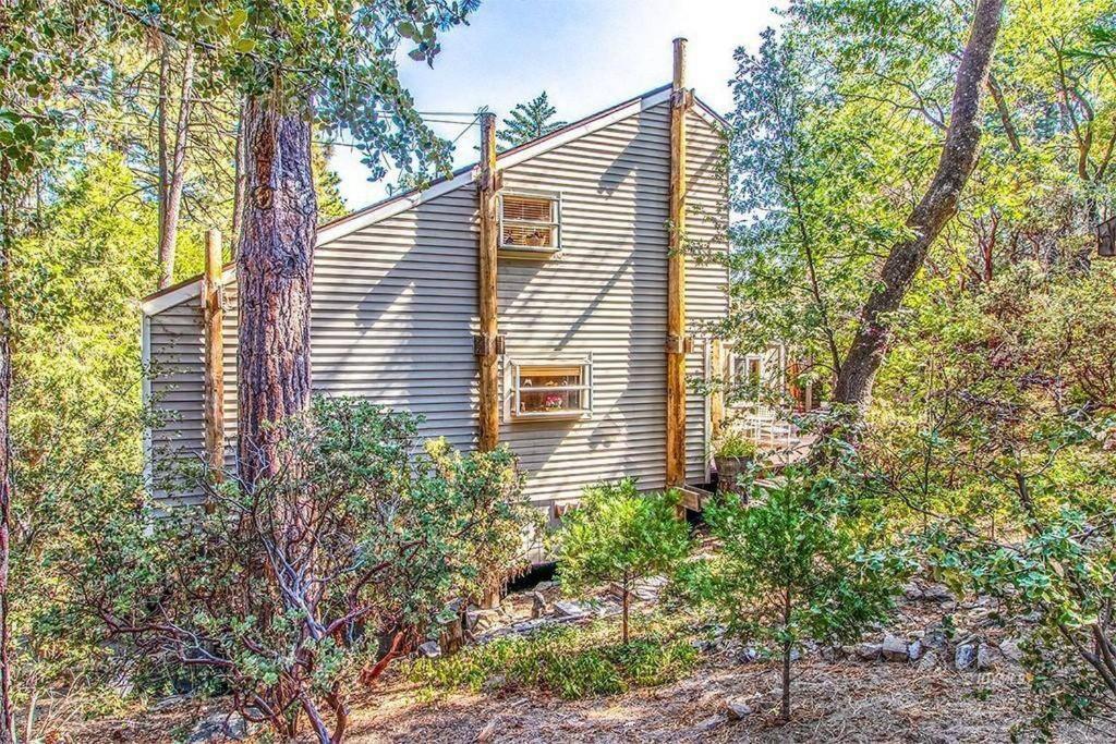 Casa De Los Arboles! Delight & Solitude Abound! Pine Cove Exteriér fotografie