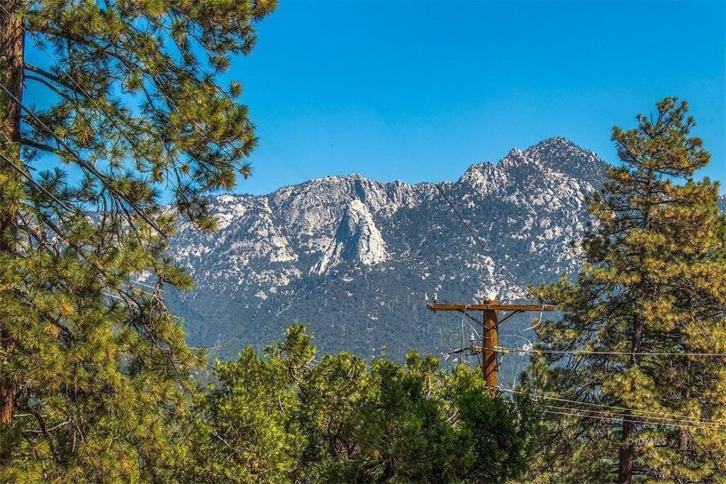 Casa De Los Arboles! Delight & Solitude Abound! Pine Cove Exteriér fotografie